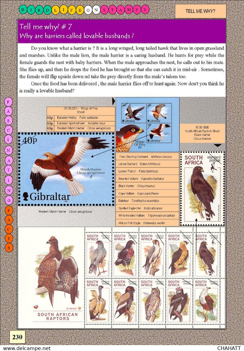 BIRDLIFE ON STAMPS- Ebook-(PDF)-DIGITAL-326 FULLY COLORED-A4-SIZE-ILLUSTRATED BOOK-ISBN-978-93-5659-173-8-EB-01