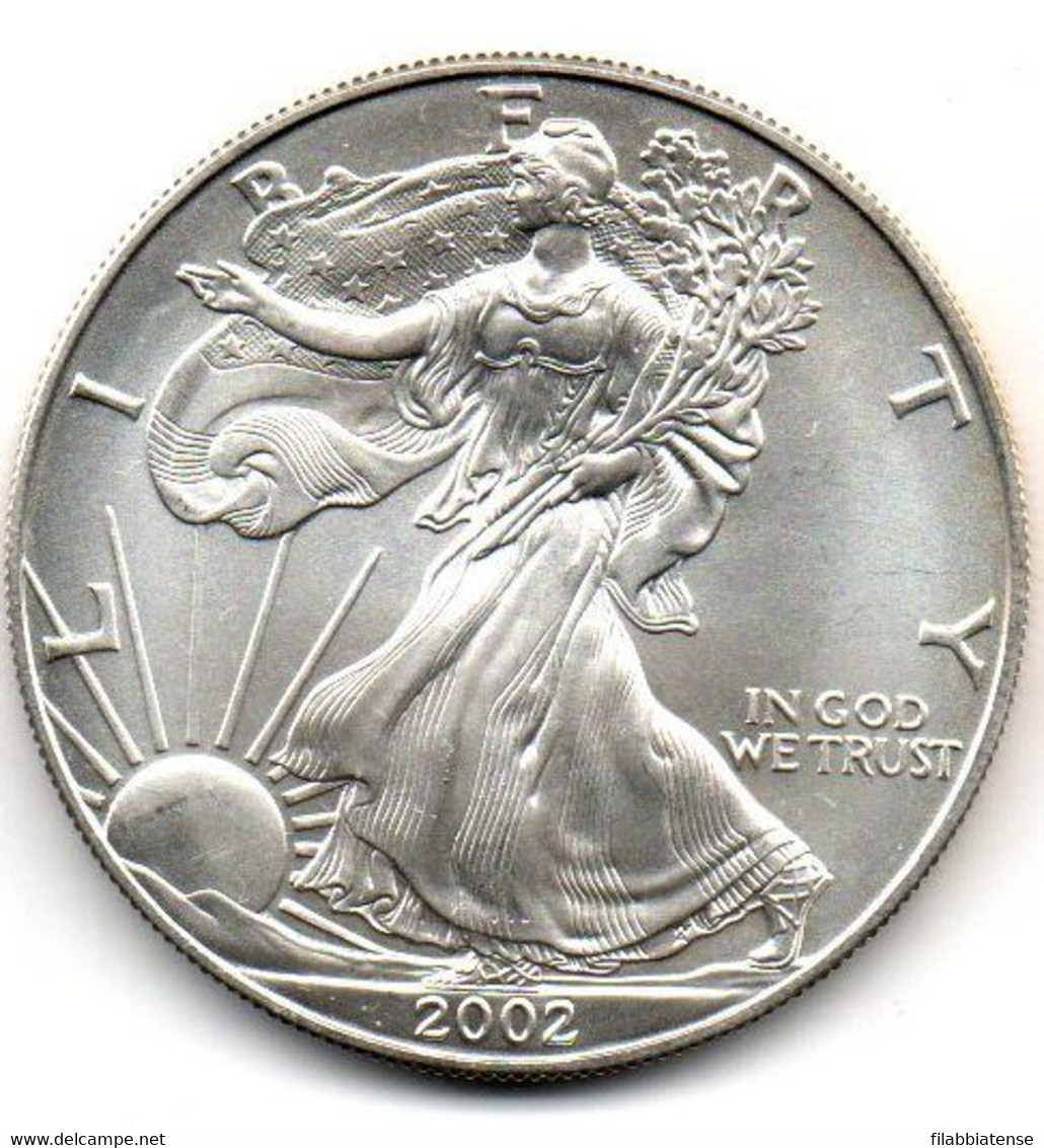 2002 - Stati Uniti 1 Dollar Argento  - Oncia Eagle      ---- - Herdenking