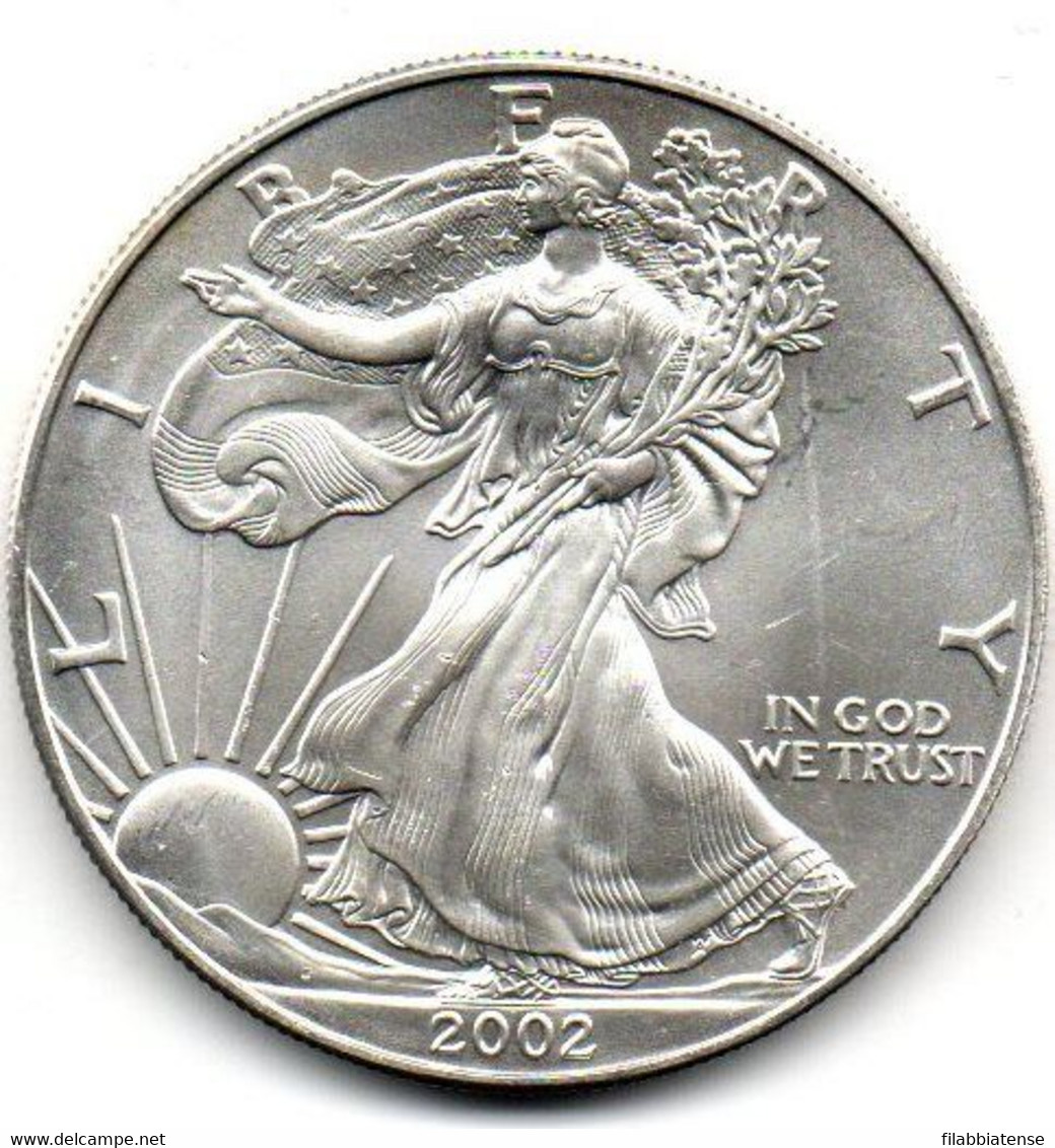 2002 - Stati Uniti 1 Dollar Argento  - Oncia Eagle      ---- - Commemoratives