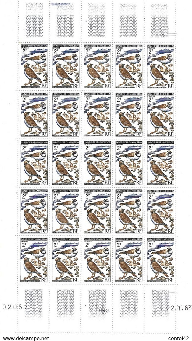 SAINT PIERRE ET MIQUELON COIN DATE FEUILLET DE 25 TIMBRES POSTES ANIMAUX CHARADRIUS HIATICULA OISEAUX  AMERIQUE - Unused Stamps