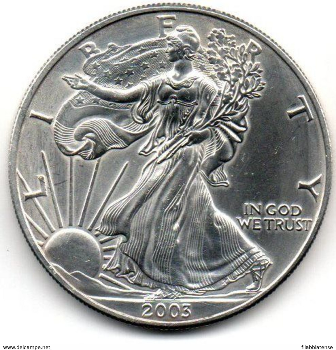 2003 - Stati Uniti 1 Dollar Argento  - Oncia Eagle      ---- - Herdenking