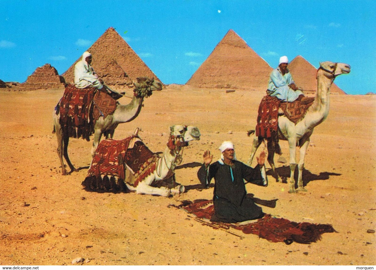 47830. Postal GIZA (Egypte) Piramides Y Camelleros En Plegaria - Pyramides