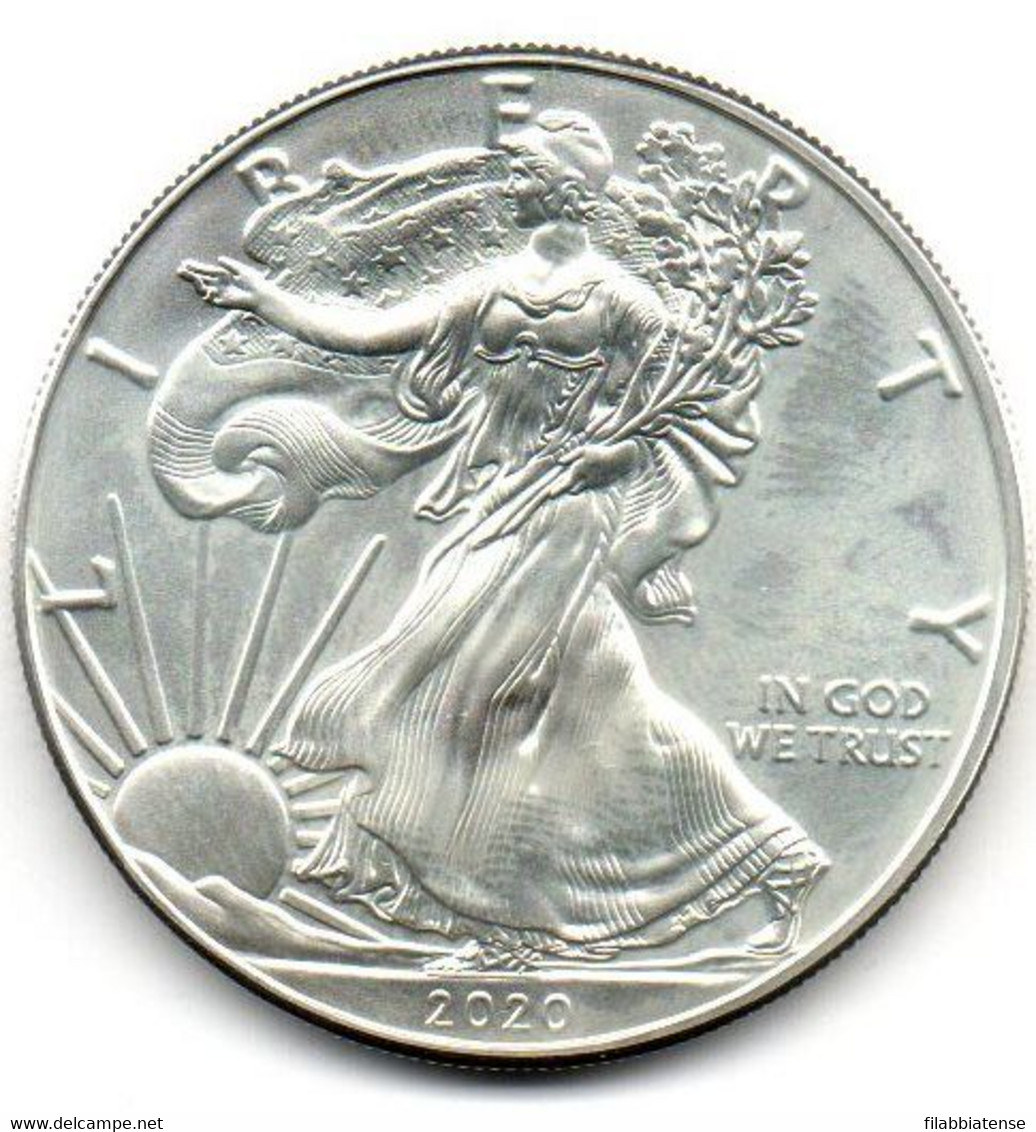 2020 - Stati Uniti 1 Dollar Argento  - Oncia Eagle      ---- - Commemorative