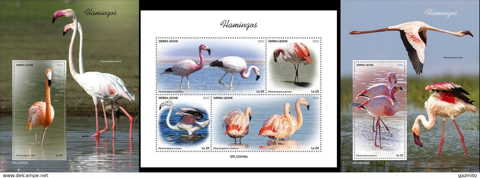 Sierra Leone 2022, Animals, Flamigos, 4val In BF +2BF - Flamants