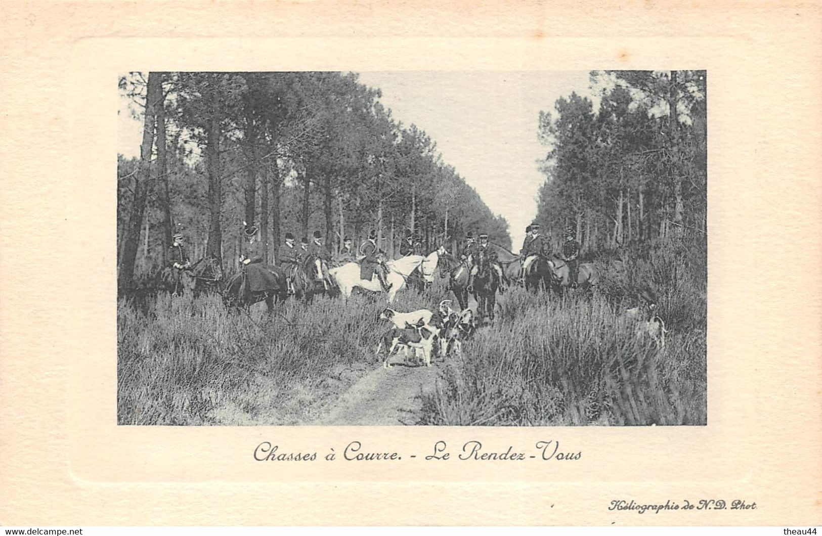 Lot de 8 Cartes de Chasse à Courre  - Chasseurs, Chiens, Vénerie, La Curée, la Meute, l'Equipage......