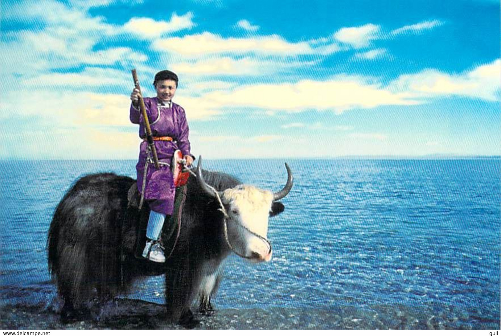 Asie > MONGOLIA Mongolie  (Enfant  Yak)-Timbre Stamp MONGOLIA - Photo By GAMMA - Mongolia