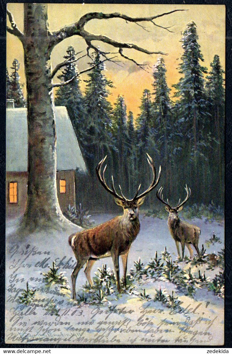 7313 - Müller München Künstlerkarte Hirsch Rotwild Winterlandschaft - Halle Merseburg Stempel - Mueller, August - Munich