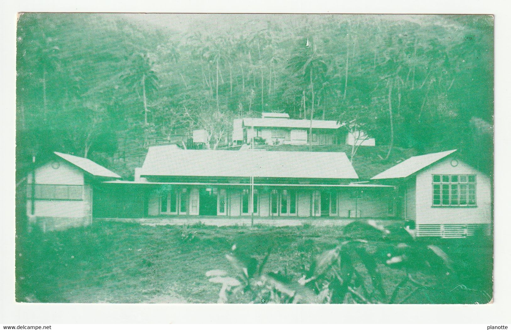 PITCAIRN Island - New School  -  Standart Pc 1950s - Pitcairneilanden