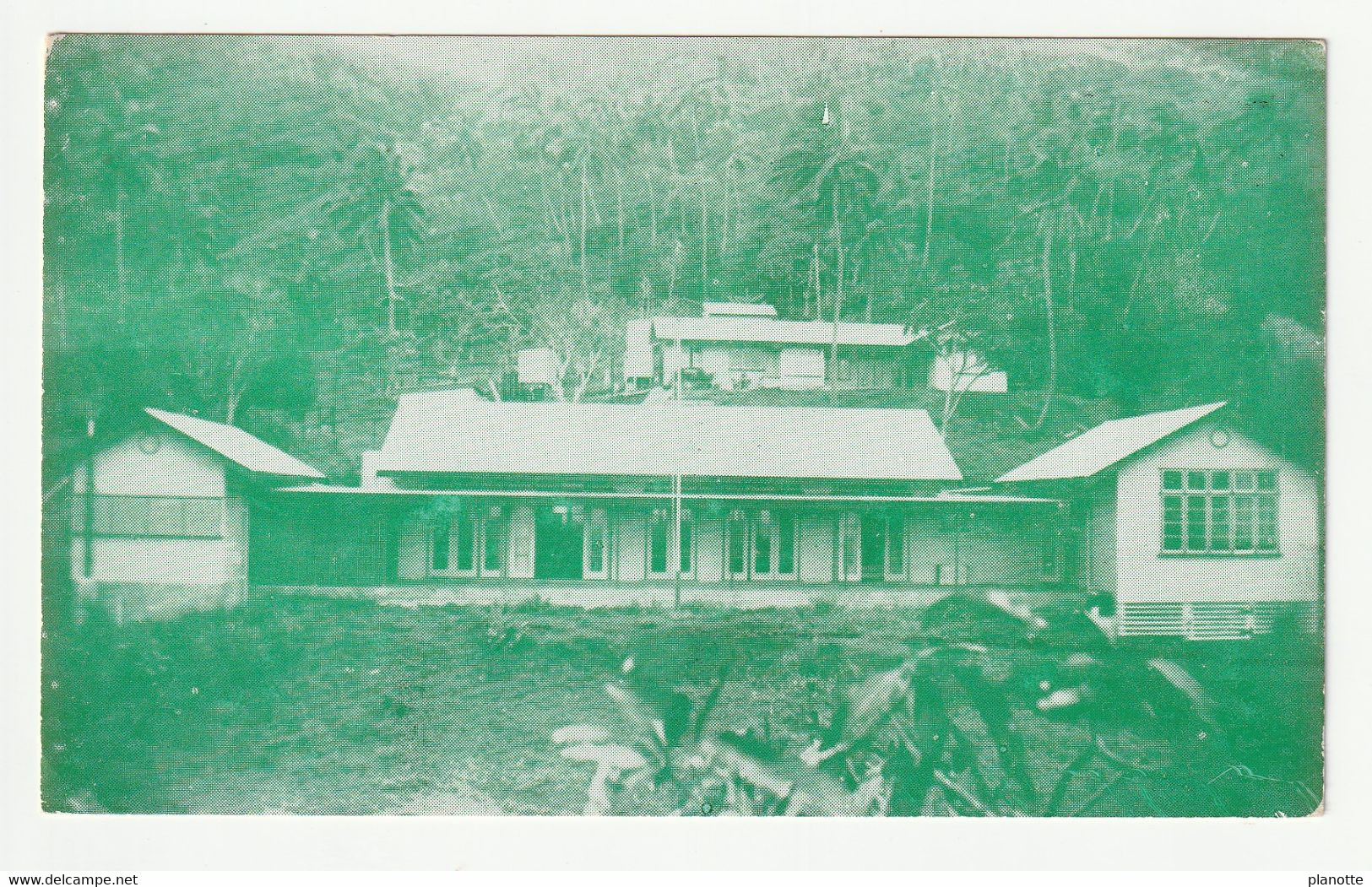 PITCAIRN Island - New School  -  Standart Pc 1950s - Pitcairn Islands