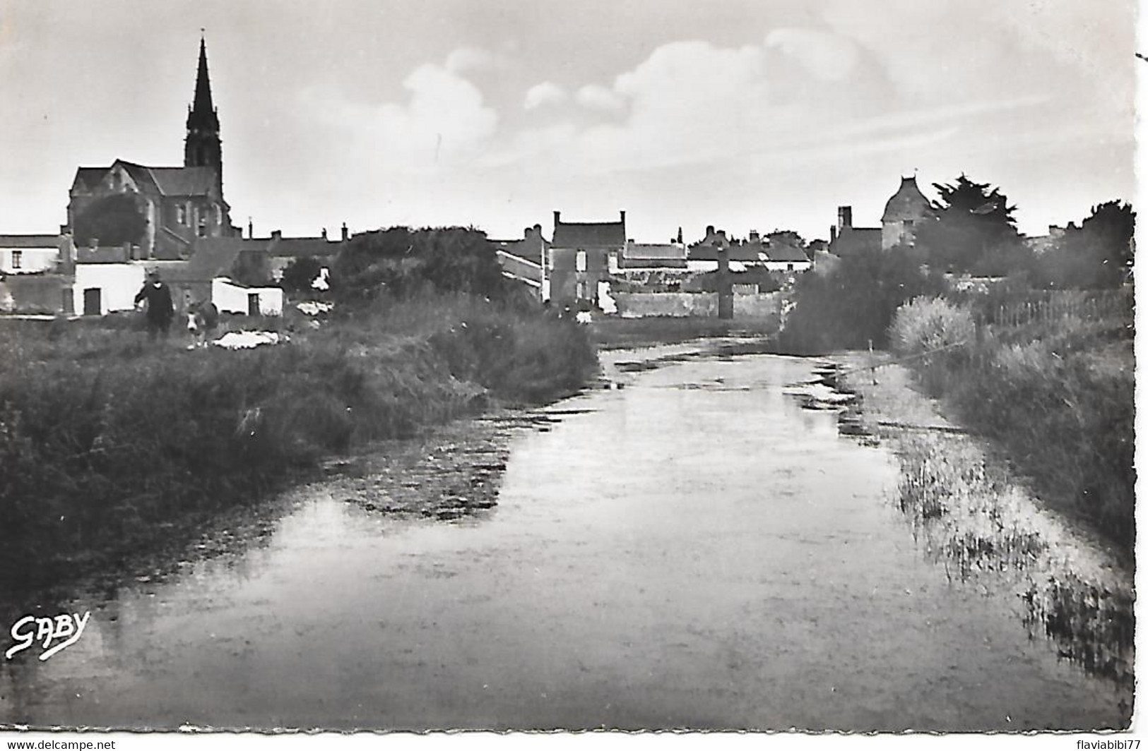 BOURGNEUF - ( 44 ) - Vue Générale  ( C. P. S. M -Pt -Ft   ) - Bourgneuf-en-Retz