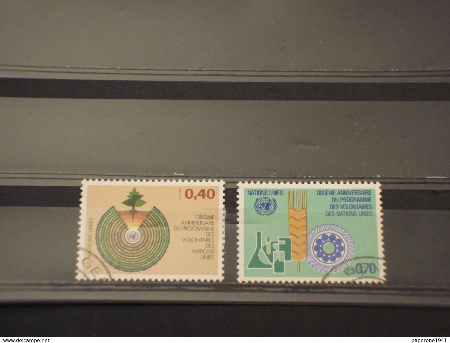NAZIONI UNITE - GINEVRA - 1981 VOLONTARI 2 VALORI - TIMBRATI/USED - Used Stamps