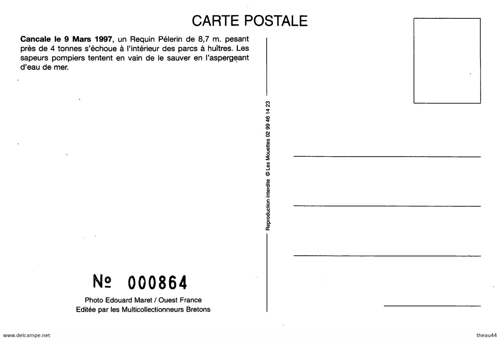 CANCALE  -  Un Requin Pélerin De 8.7m Pesant Près De 4 Tonnes échoué Le 9 Mars 1997 à L'intérieur Des Parcs à Huitres - Cancale