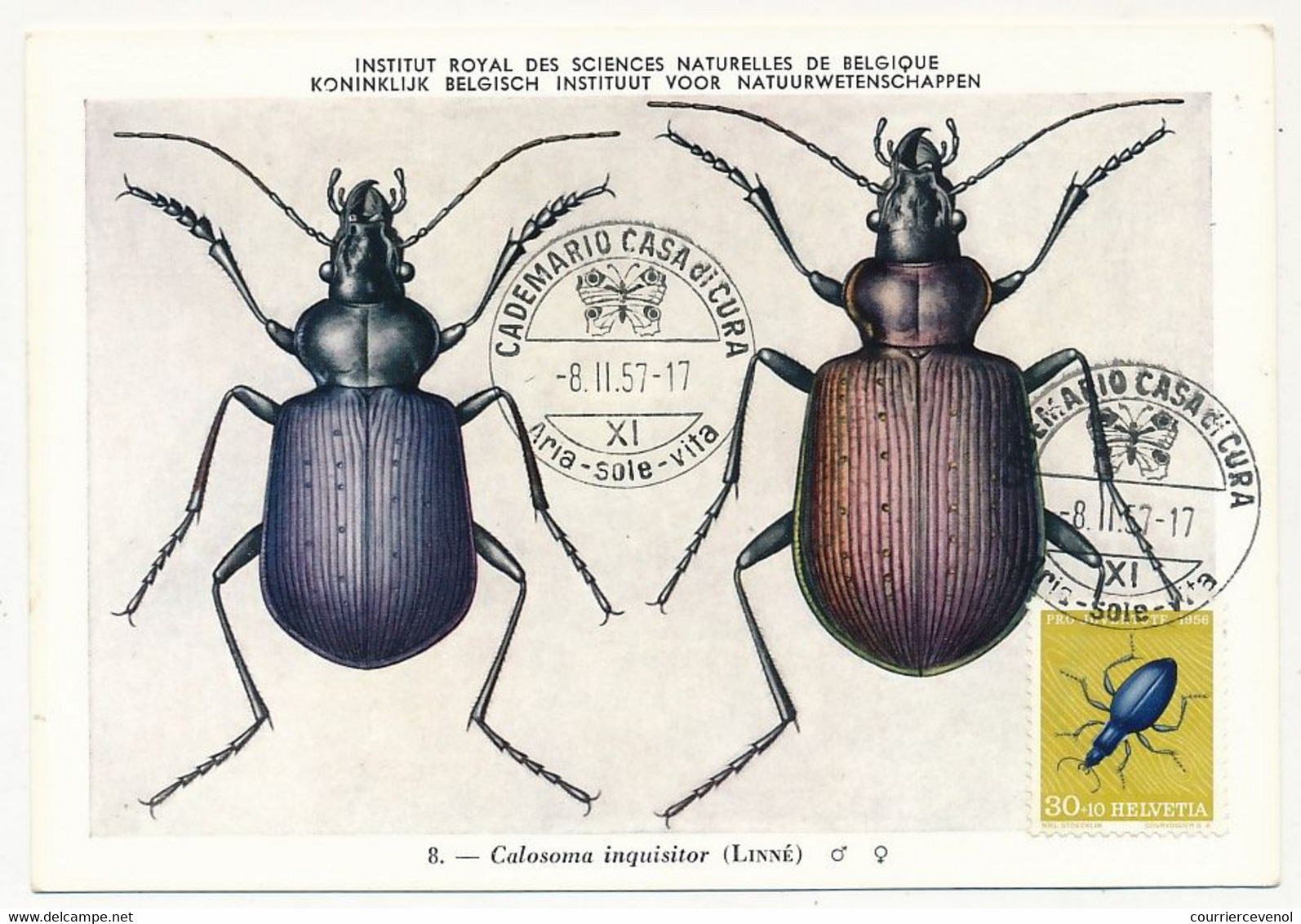 SUISSE - Carte Maximum - 30c+10c Coleoptère - Pro Juventute 1956 - CADEMARIO CASA Di CURA - 8/2/1957 - Maximum Cards