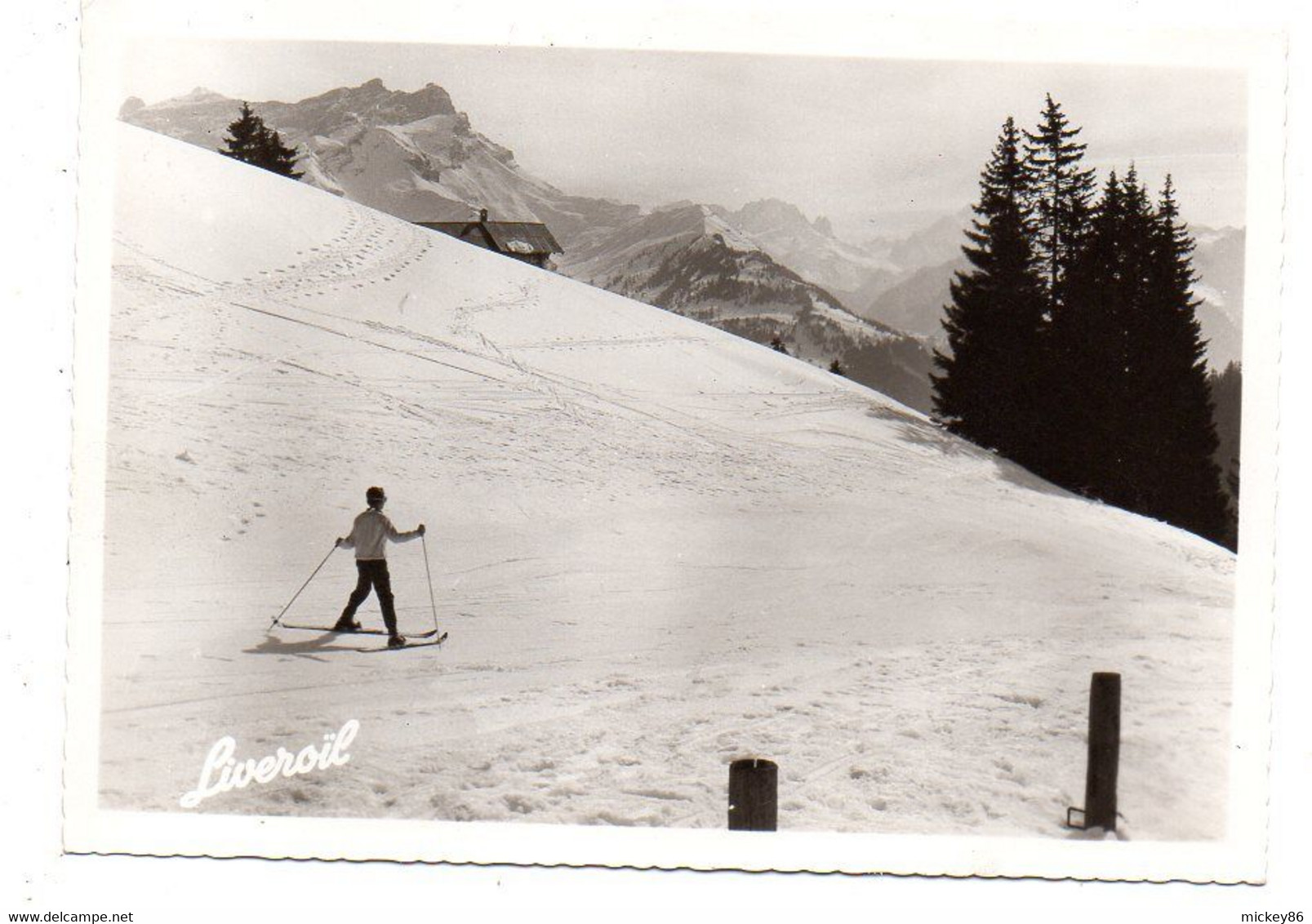 Sports D'hiver-- Paysage D'hiver ....Ski (animée)......pub Liveroil     Signée René Letourneur............ - Sports D'hiver