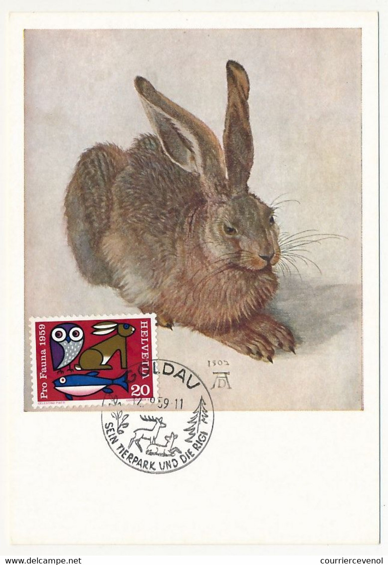 SUISSE - Carte Maximum - 20c Pro Fauna 1959 - Lièvre - Goldau - 12/9/1959 - Maximumkaarten