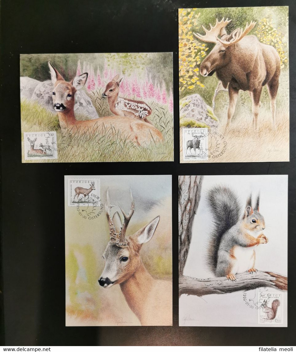 SVEZIA 1992 ANIMALI - Cartes-maximum (CM)