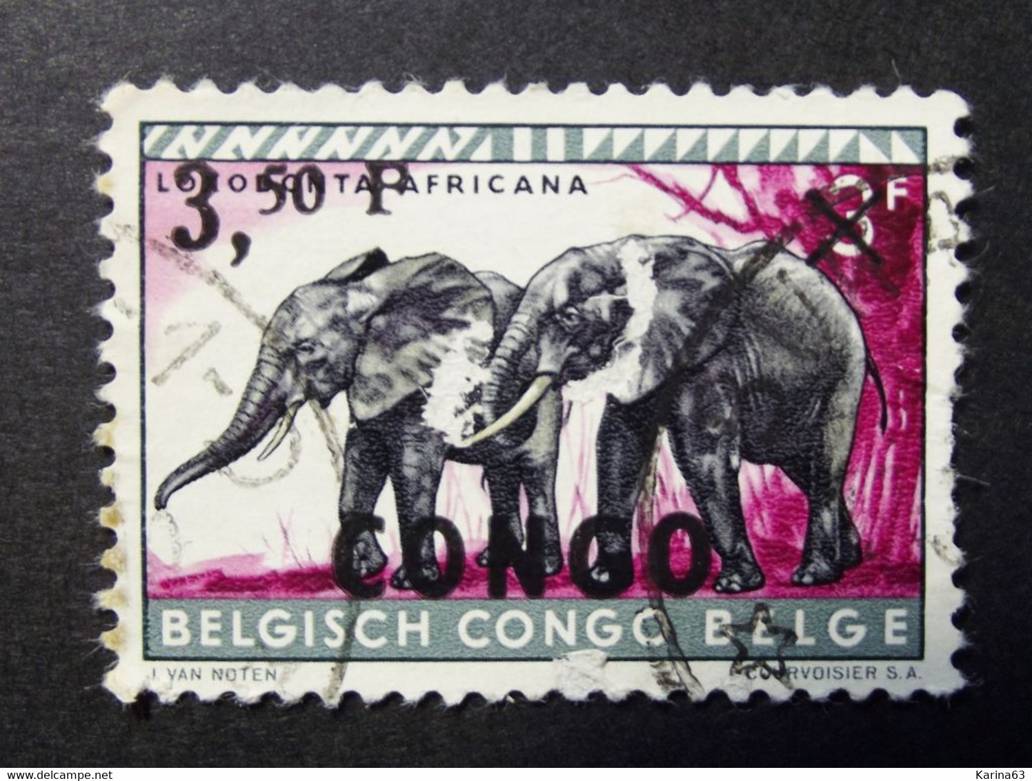 Congo - 1960 - Animals - Elephante  Surcharge ( 1 Value ) Obl. - Usati