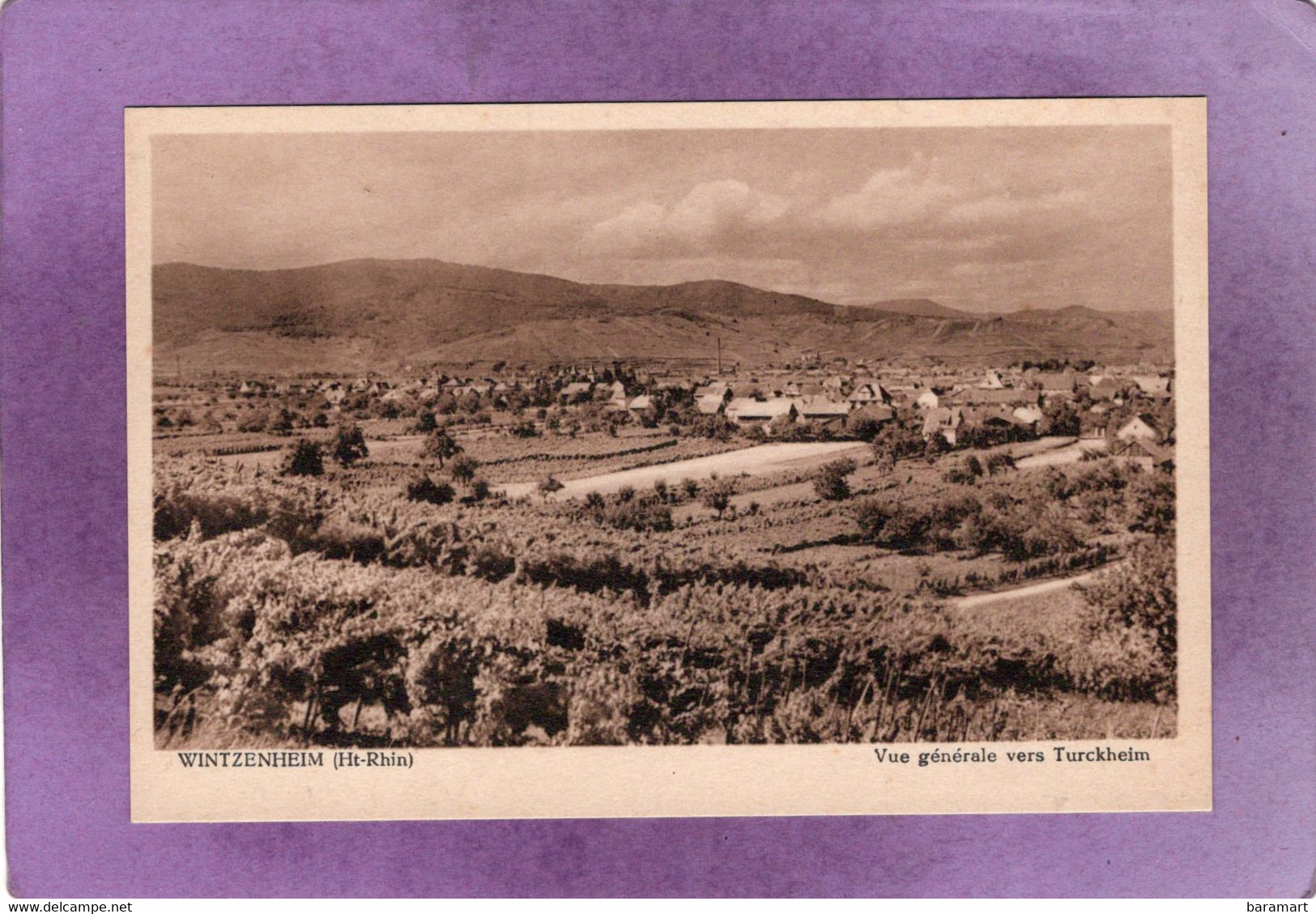 68 WINTZENHEIM  Vue Générale Vers Turckheim - Wintzenheim