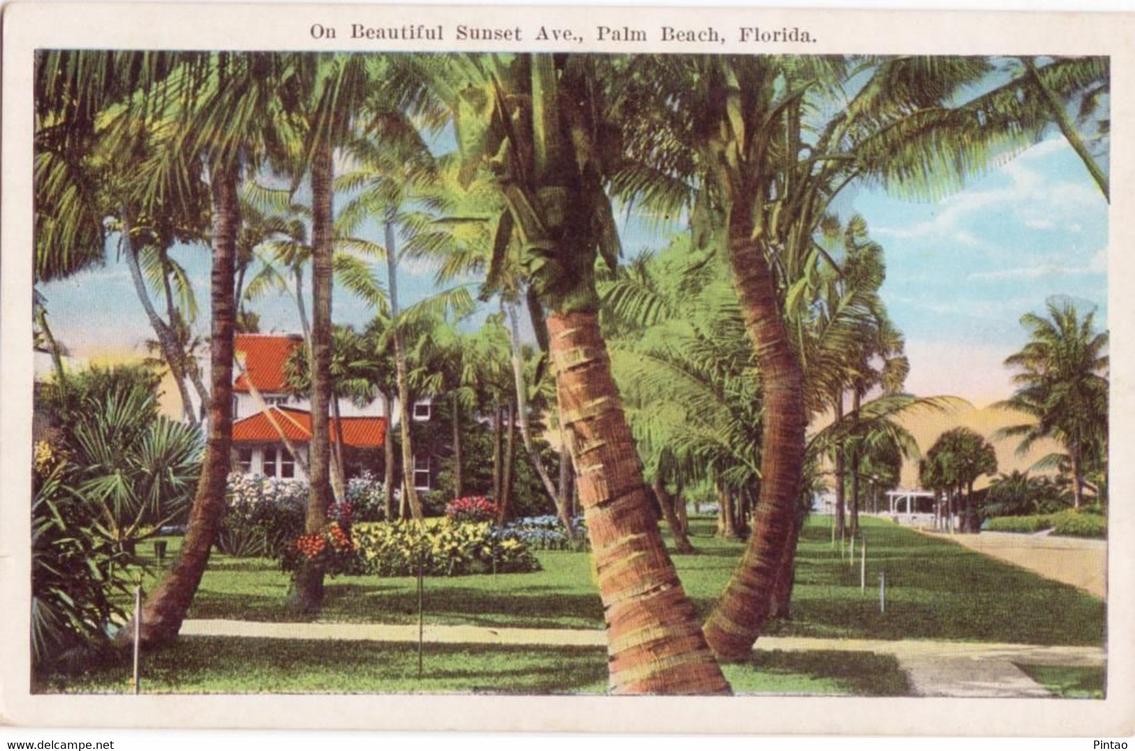 PCN0385 - EUA (Flórida) - Palm Beach