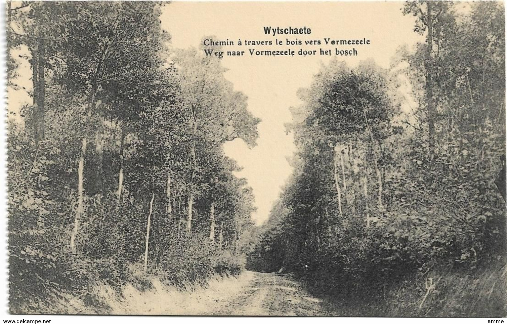 Wytschaete - Wijtschate   * Weg Naar Vormezeele Door Het Bosch - Heuvelland