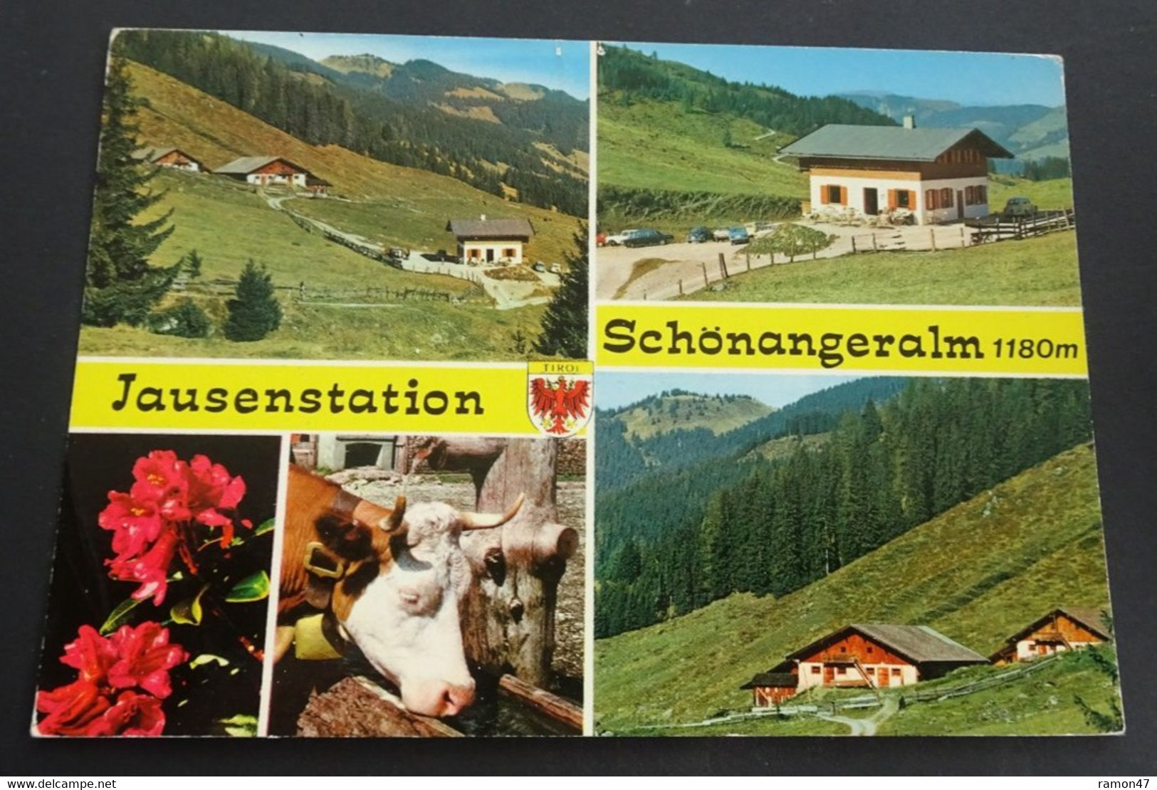 Jausenstation Schönangeralm - Multiview - Foto Risch-Lau, Innsbruck - # G 81 - Wildschönau