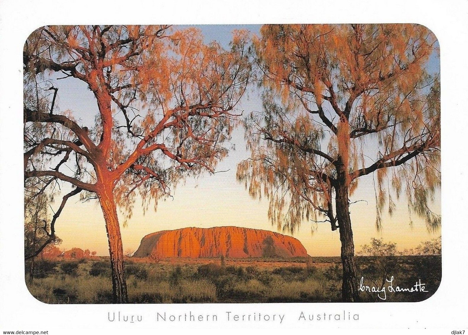 Australie Desert Oaks Frame A Clasic View Of Uluru At Sunset (Carte Vierge) - Uluru & The Olgas