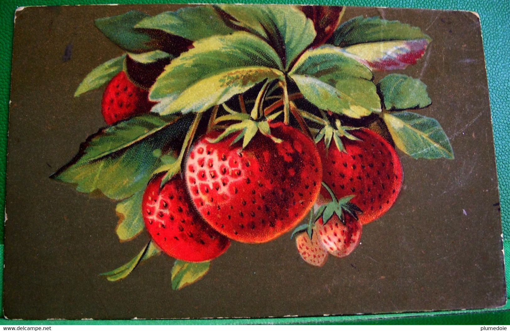 Cpa FRUITS , JOLIES FRAISES , FRAISIER , SERIE ARTISTICA  VELLUTO . T.A.M . STRAWBERRIES WITH LEAVES - Medicinal Plants