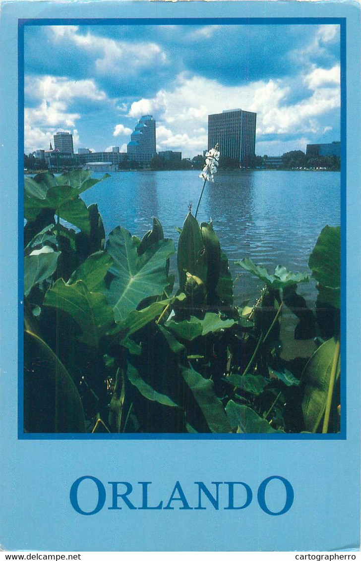 Postcard USA FL Orlando Lake Scene 1992 - Orlando