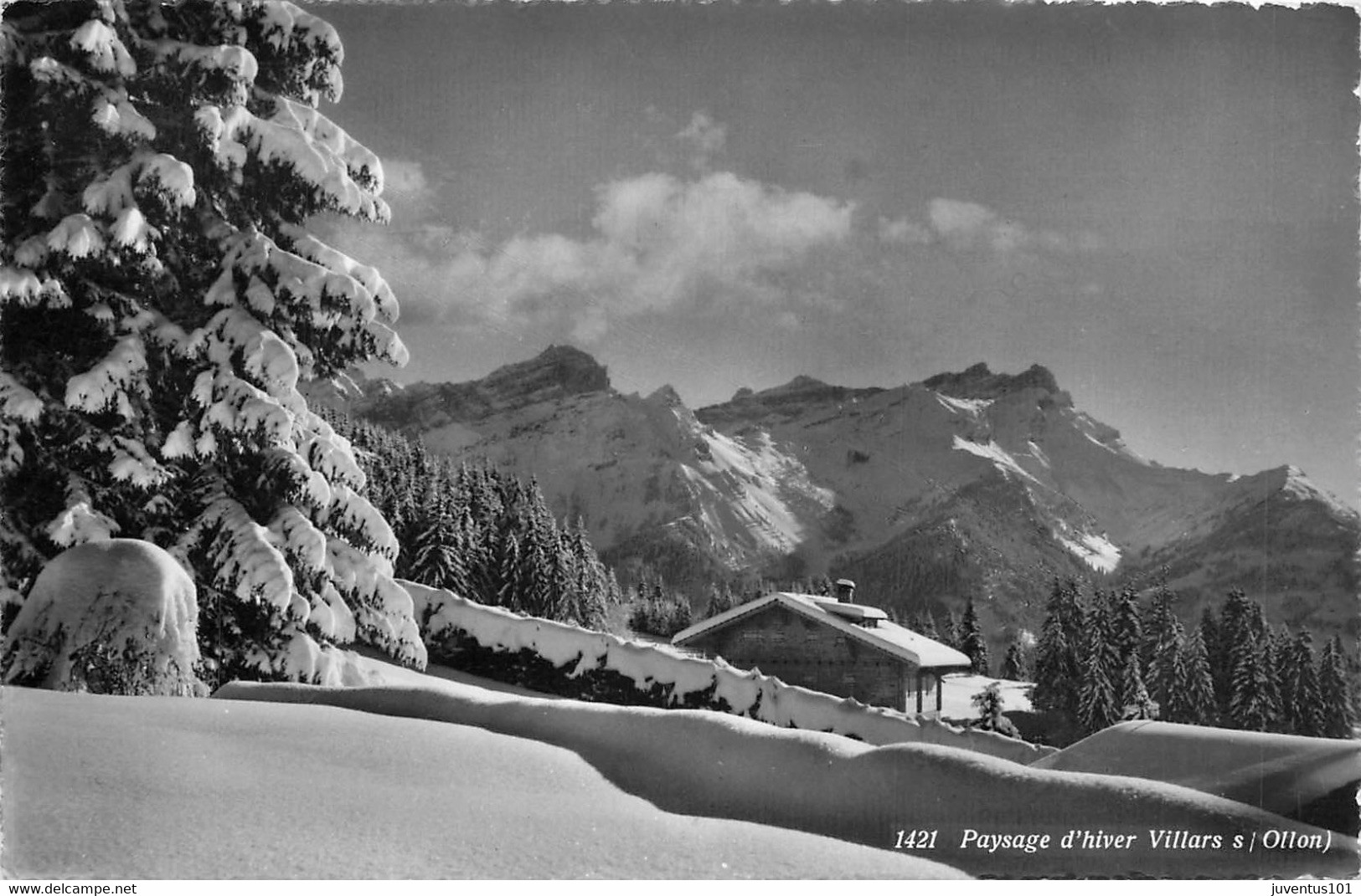 CPSM Paysage D'hiver Villars Sur Ollon      L1907 - Ollon