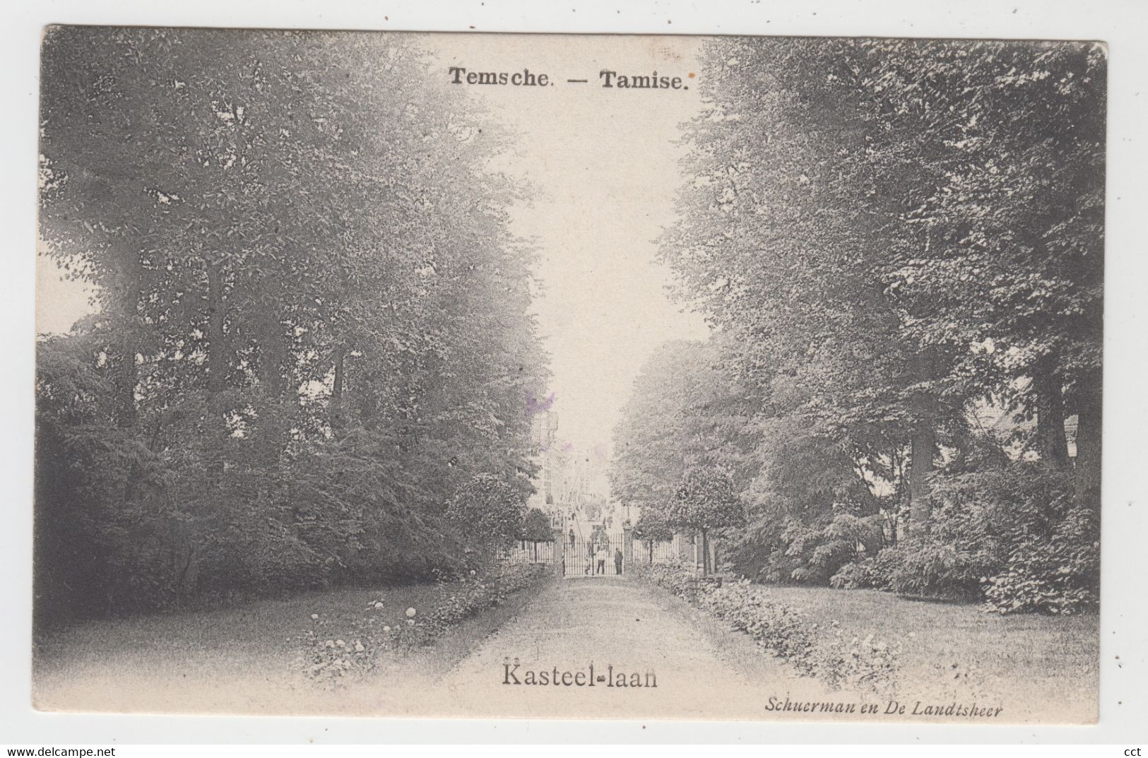 Temsche  Temse  Kasteel-laan - Temse