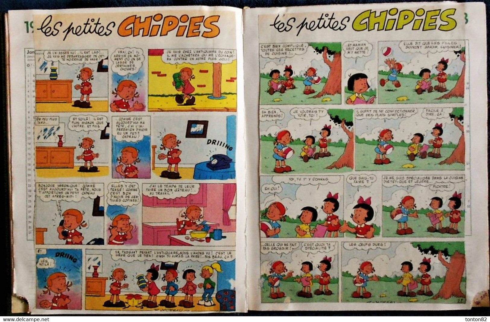 Les Petites Chipies - Recueil De 134 Planches . - Bibi Fricotin
