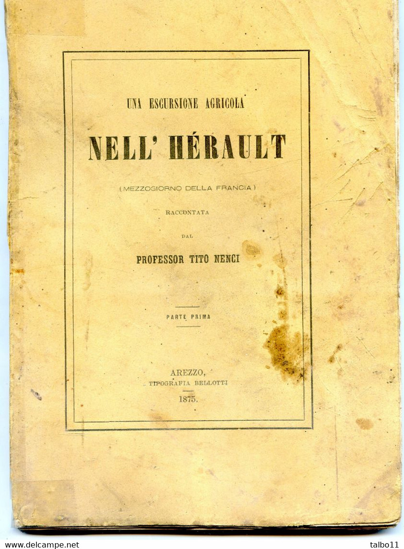 Una Escursione Agricola Nell' Hérault - Toto Nenci - Arrezo - 1875  - Viticulture - Filloxera- Noilly Prat - Cette - - Libri Antichi