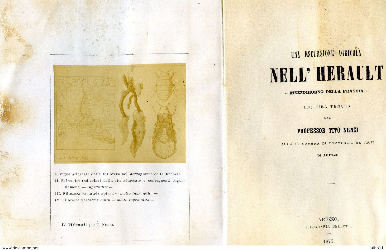 Una Escursione Agricola Nell' Hérault - Toto Nenci - Arrezo - 1875  - Viticulture - Filloxera- Noilly Prat - Cette - - Oude Boeken