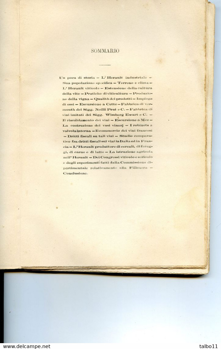 Una Escursione Agricola Nell' Hérault - Toto Nenci - Arrezo - 1875  - Viticulture - Filloxera- Noilly Prat - Cette - - Livres Anciens