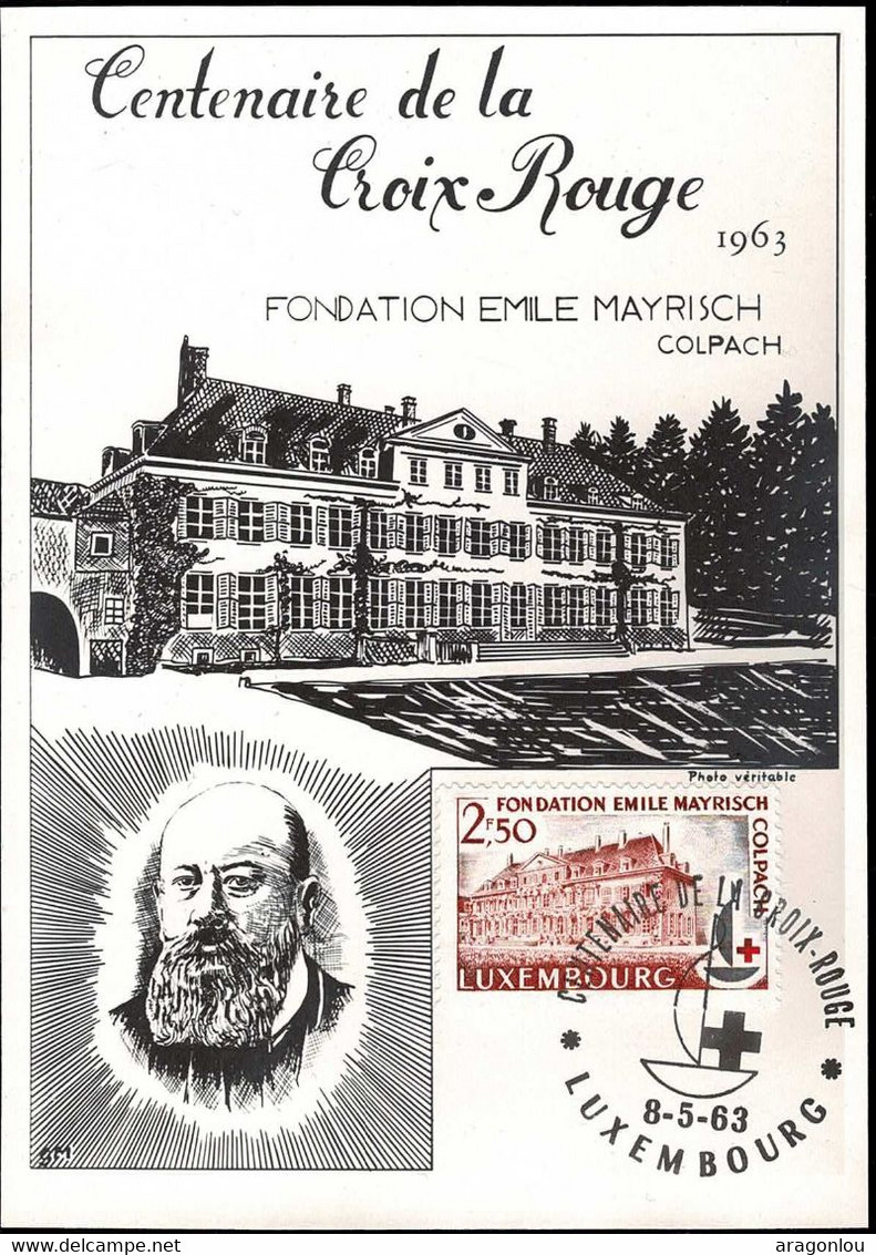 Luxembourg Luxemburg Carte Maximum 1963 Centenaire De La Croix Rouge Fondation Emile Mayrisch - Maximumkaarten