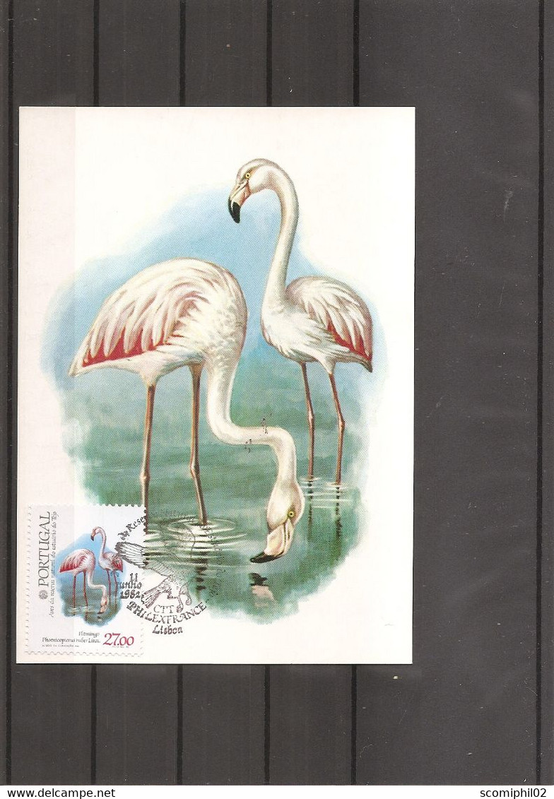 Flamants ( CM Du Portugal De 1982 à Voir) - Flamingos