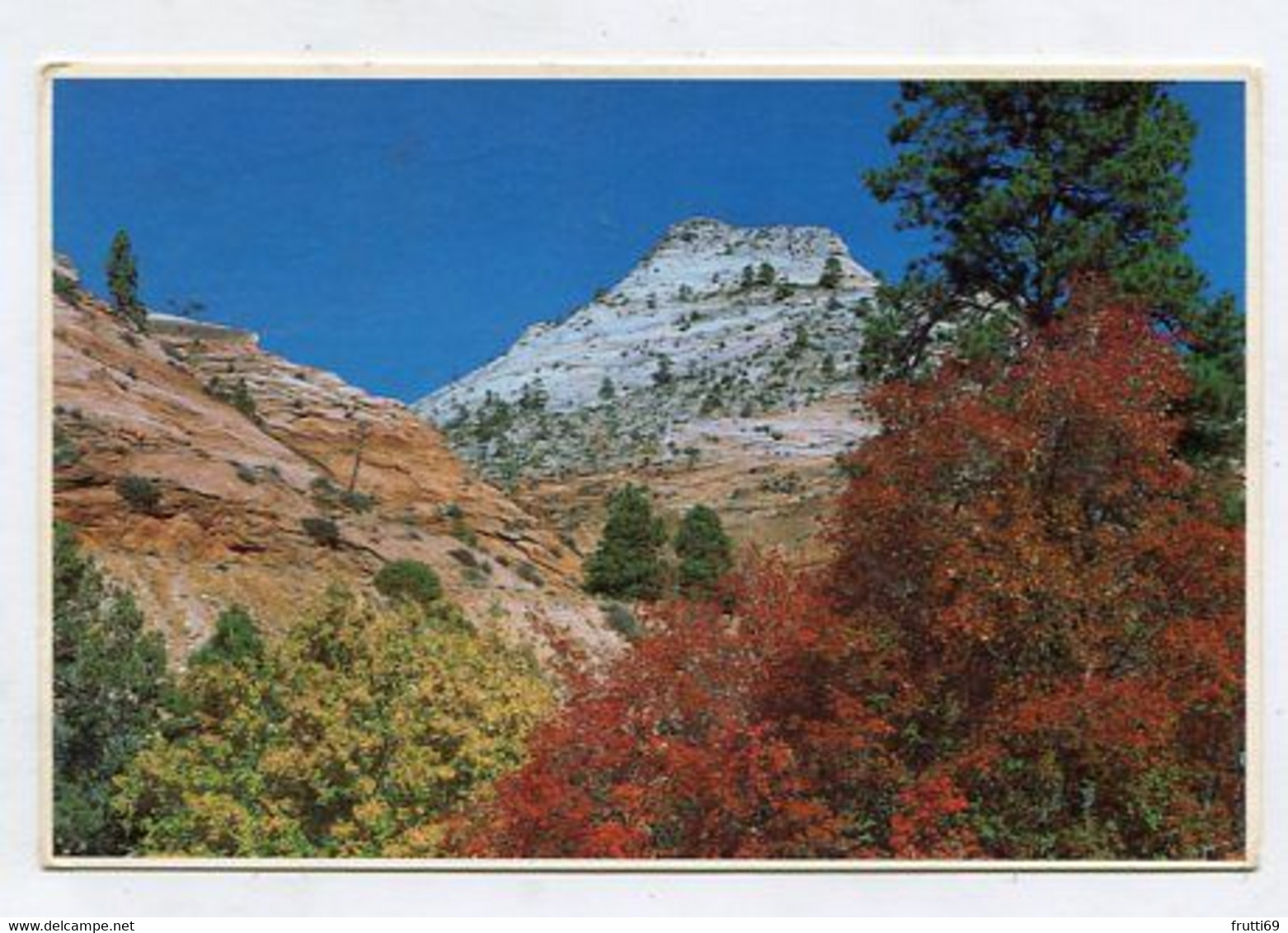 AK 095016 USA - Utah - Zion National Park - Checkerboard Mesa - Zion