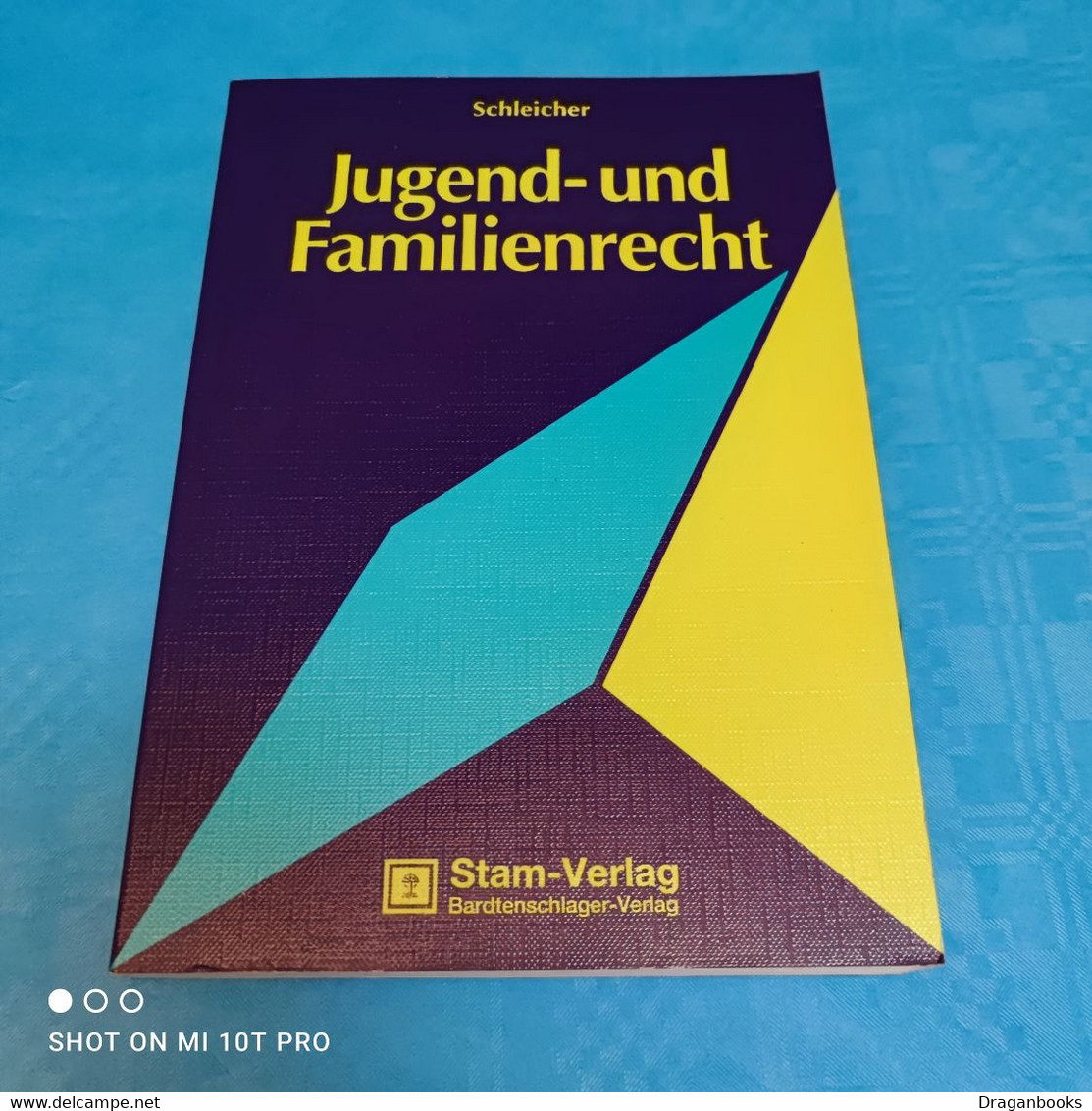 Hans Schleicher - Jugend Und Familenrecht - Diritto