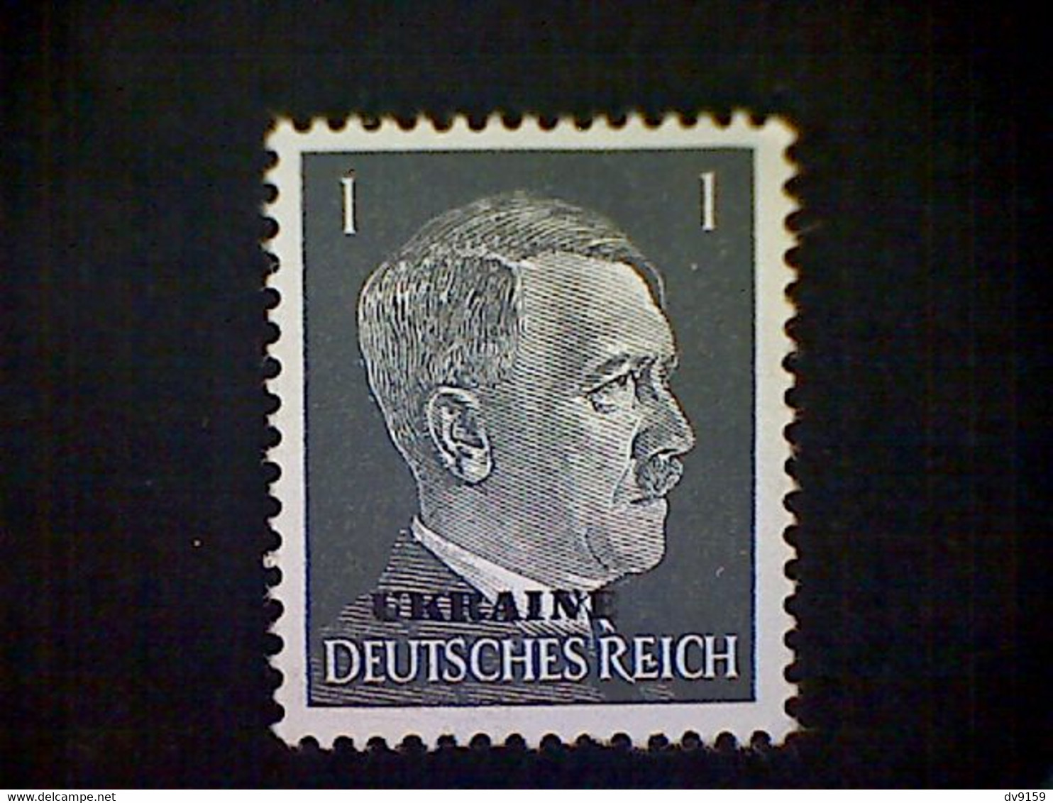 Russia, Scott #N41, Mint (*), 1941, Hitler Overprint Ukraine, 1pf, Gray Black - 1941-43 Ocupación Alemana