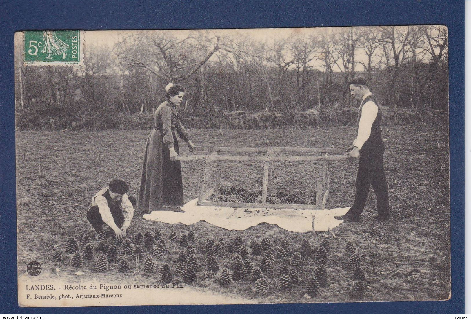 CPA [40] Landes > Métier Arjuzaux Merceux Circulé - Sonstige & Ohne Zuordnung