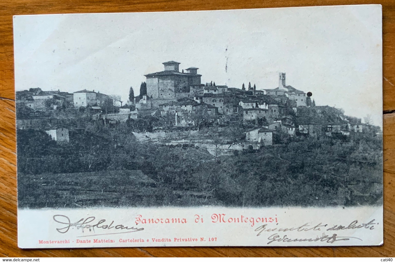 PANORAMA DI MONTEGONZI (AREZZO) - Annulli T.R. Di CAVRIGLIA *(AREZZO)* + AMBRA *(AREZZO)* 28/8/03  -  P.F.253 -232 - Arezzo