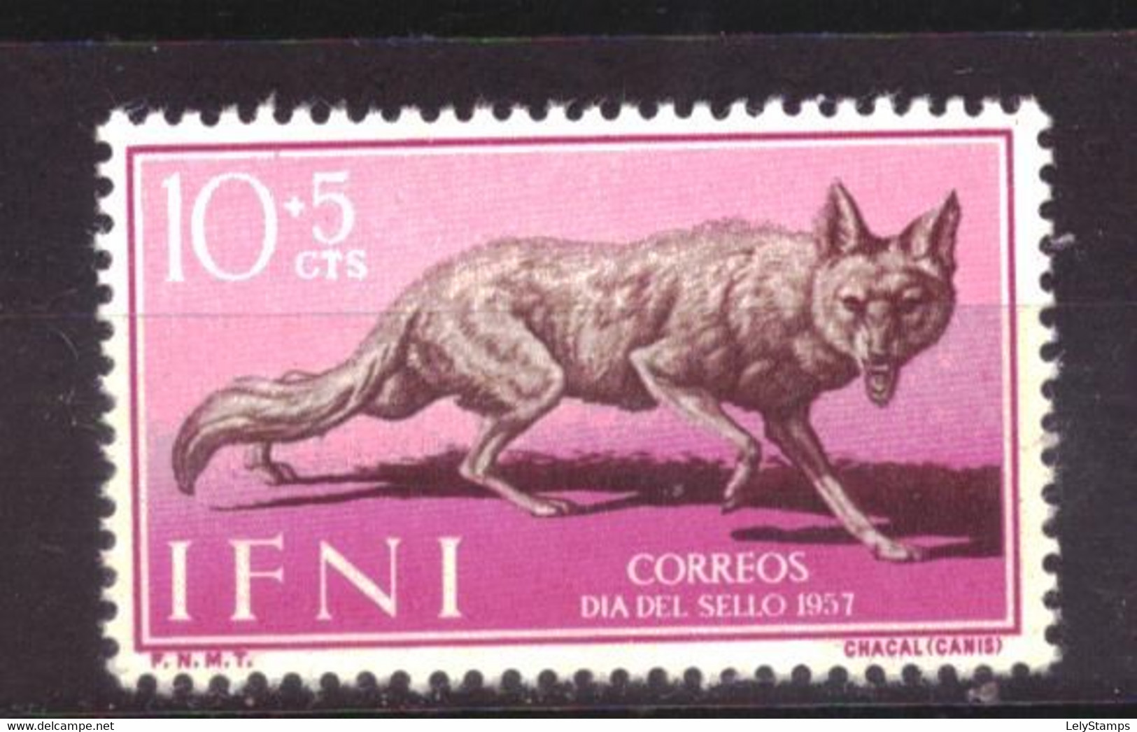 Ifni Spain 167 MNH ** Jackal Animal Nature (1957) - Ifni