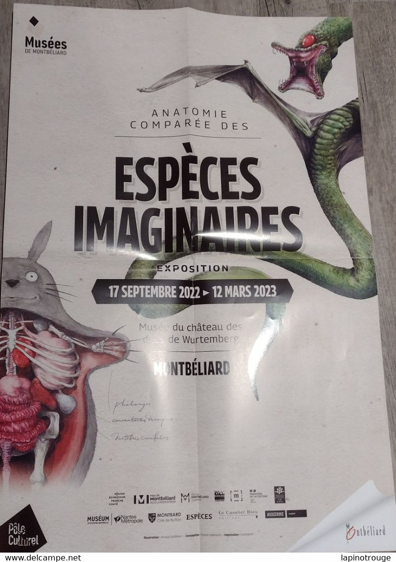 Affiche Anatomie Comparée Des Espèces Imaginaires Montbéliard 2022 (Mon Voisin Totoro... - Affiches & Offsets