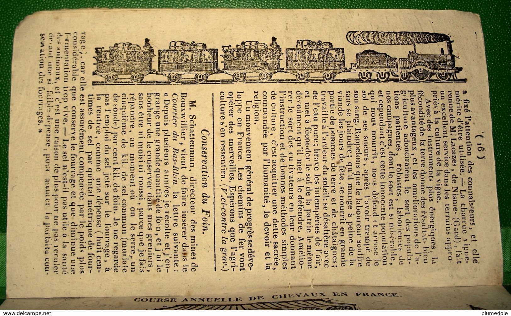 RARE ALMANACH DU CULTIVATEUR ET DE LA GLOIRE FRANCAISE POUR L ANNEE DE GRÂCE 1845 . à BRANTHOME Chez BONNEAUD - Tamaño Pequeño : ...-1900