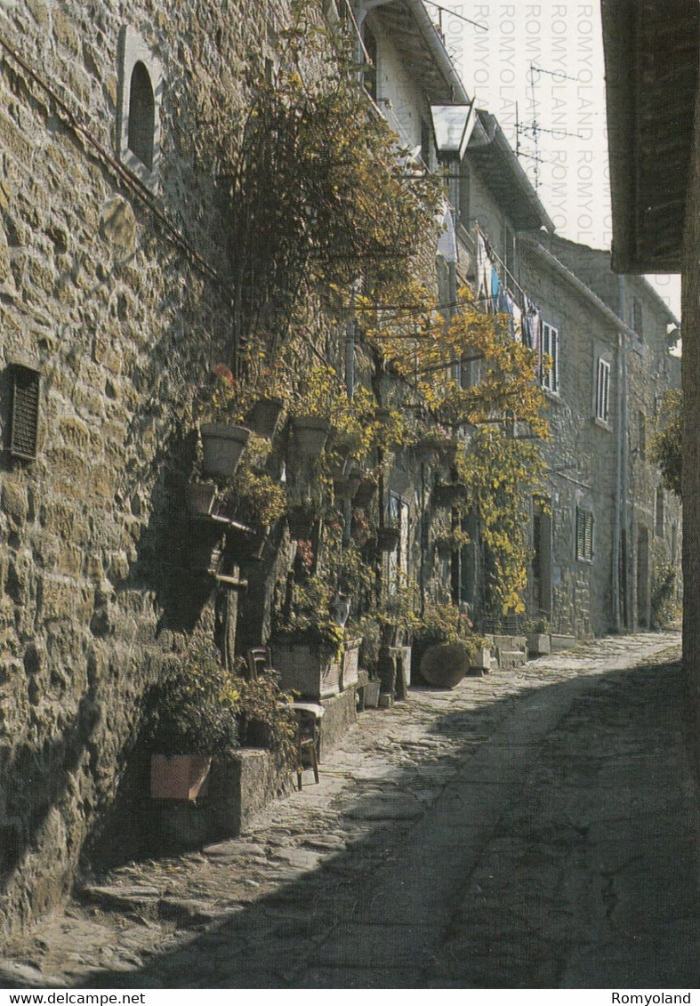 CARTOLINA  CORTONA,AREZZO,TOSCANA,VIA DELL"ORTO DELLA CERA,STORIA,MEMORIA,RELIGIONE,CULTURA,BELLA ITALIA,NON VIAGGIATA - Arezzo