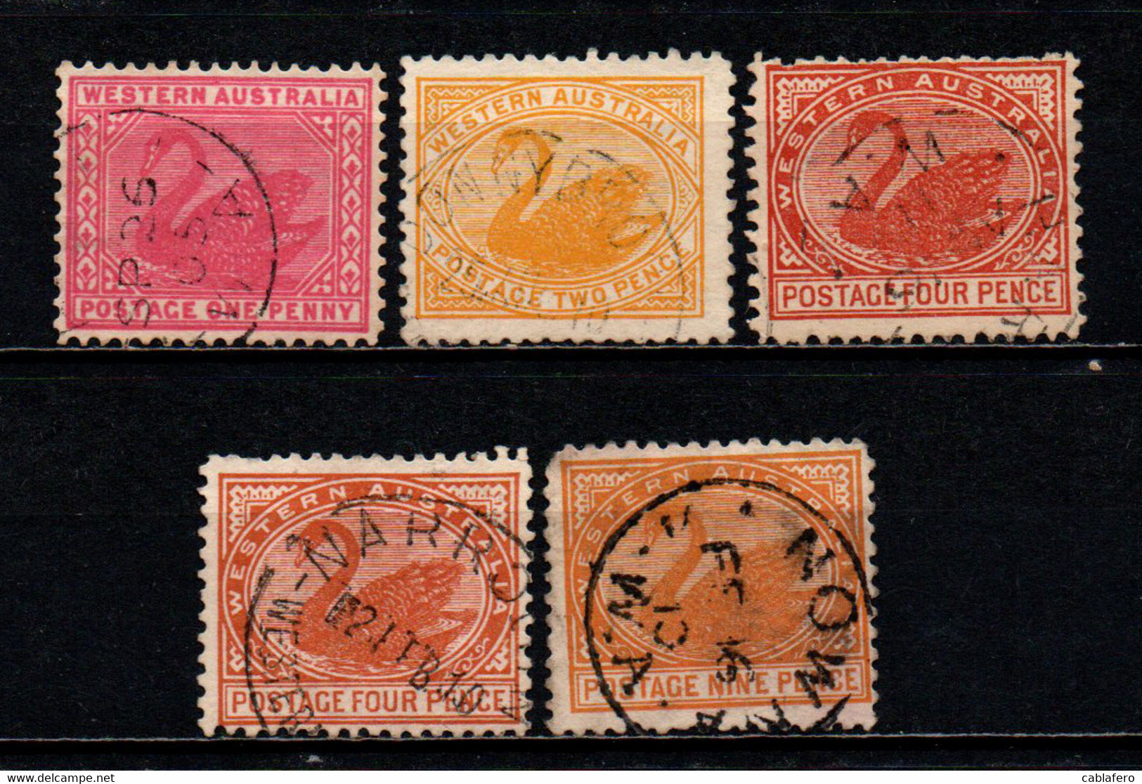 WESTERN AUSTRALIA - 1905-12 - Swan - Wmk. Crown & Double-lined A - USATI - Gebruikt