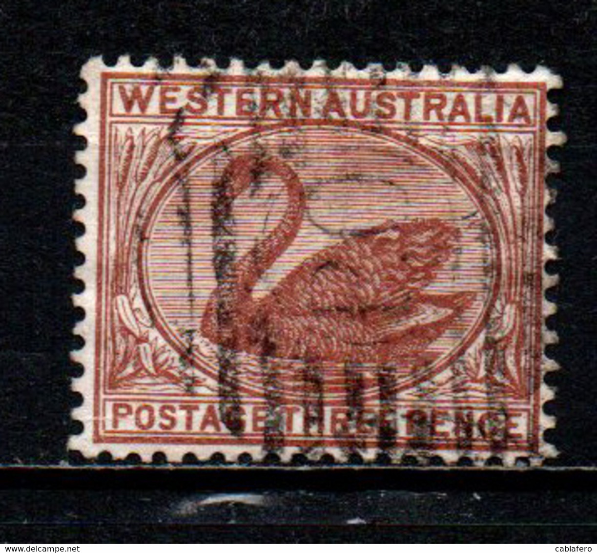WESTERN AUSTRALIA - 1872 - Swan - 3p Red Brown - USATO - Gebruikt