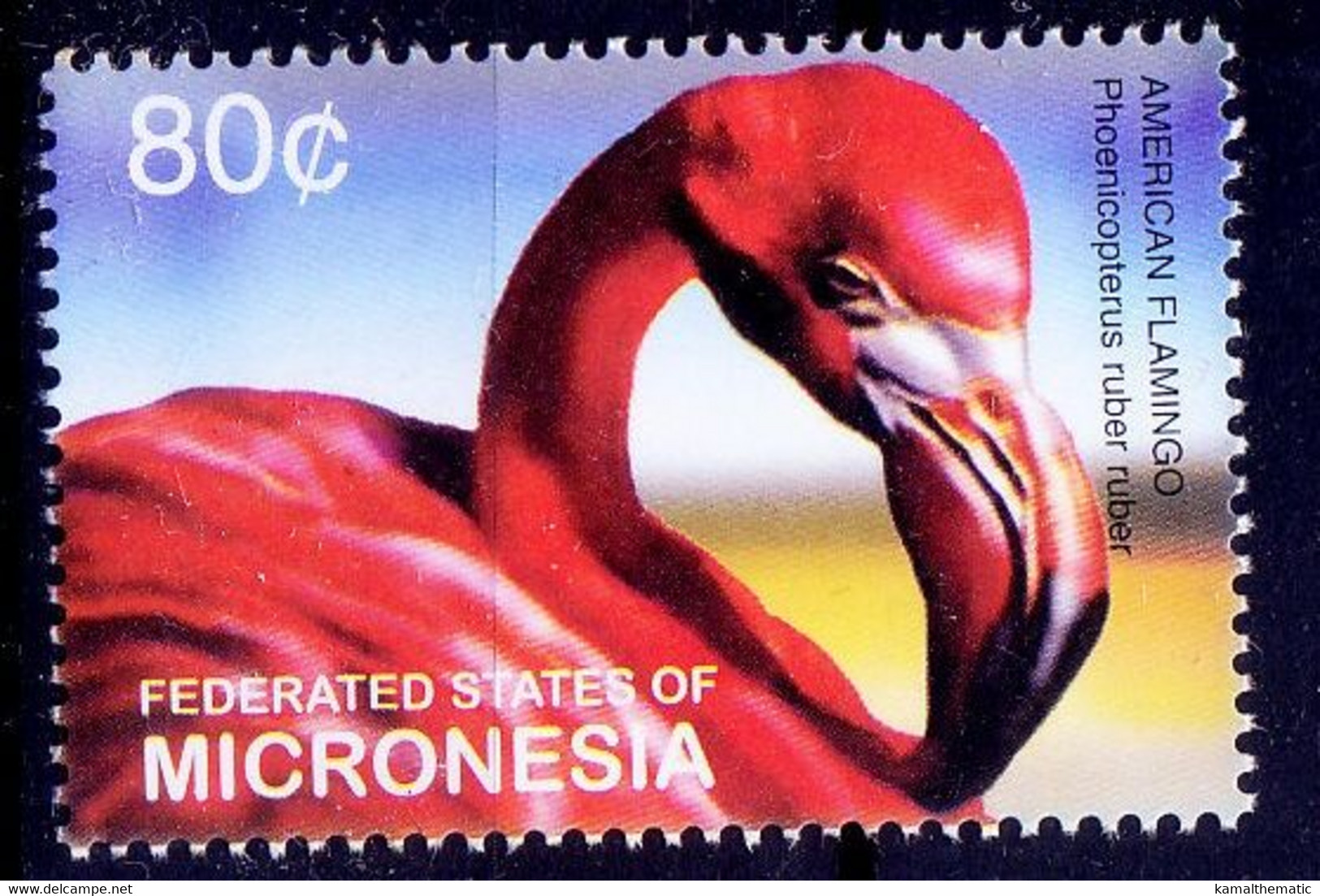 Micronesia 2003 MNH, American Flamingo, Water Birds - Flamingos
