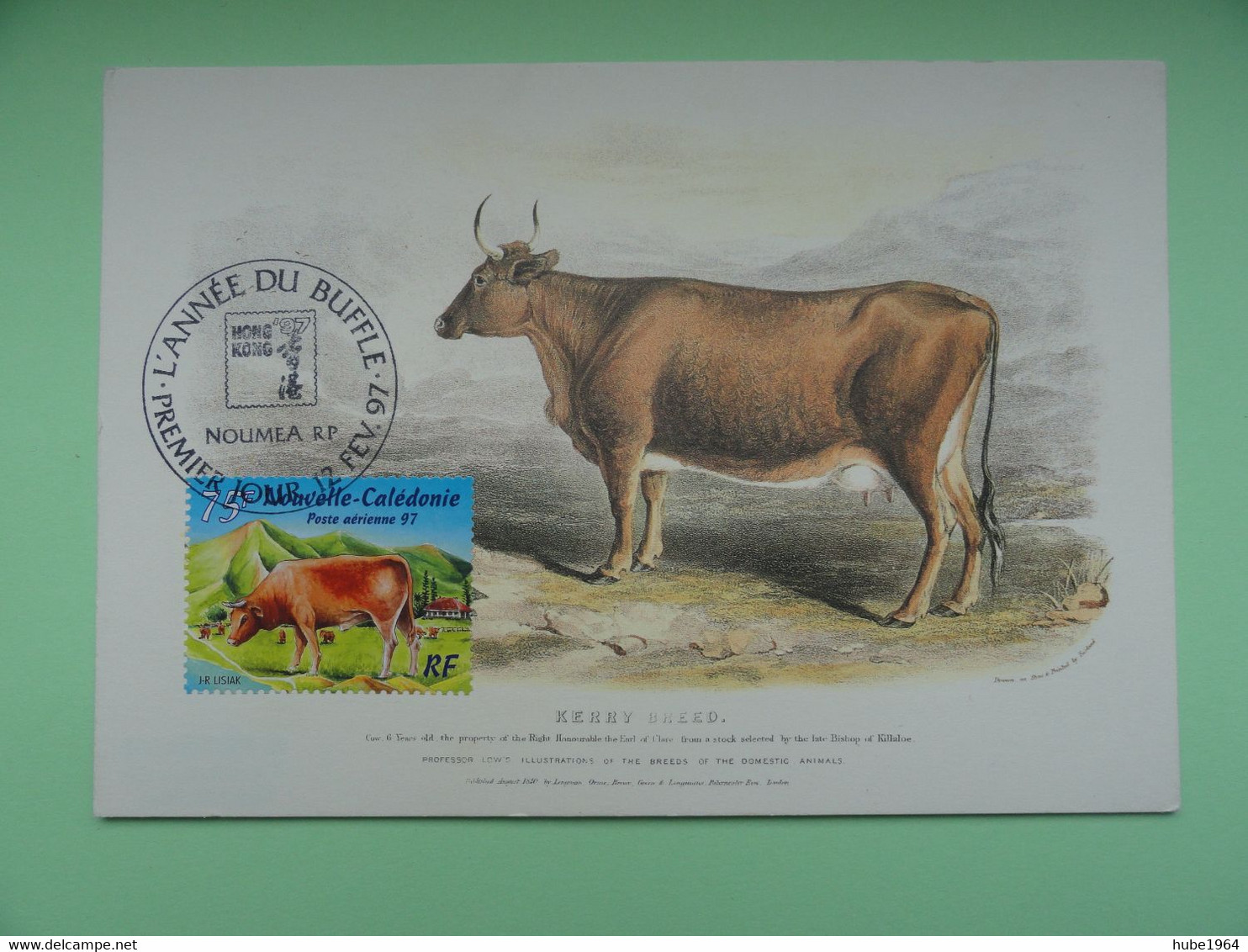 CARTE MAXIMUM CARD ANNEE DU BUFFLE NOUVELLE CALEDONIE - Used Stamps
