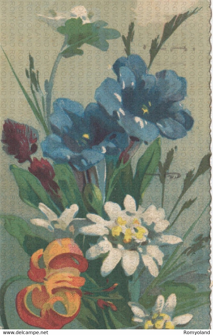 CARTOLINA  FIORI-PIANTE-ALBERI-ROSA-PETUNIA-VIOLA-ORTENSIA-TULIPANO-LAVANDA-GAROFANO,VIAGGIATA 1936 - Flowers